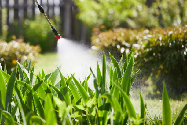 Tamper-Resistant Bait Stations for Rodents in Ramblewood