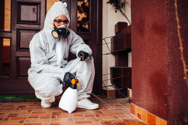 Attic and Crawl Space Rodent Treatment in Ramblewood