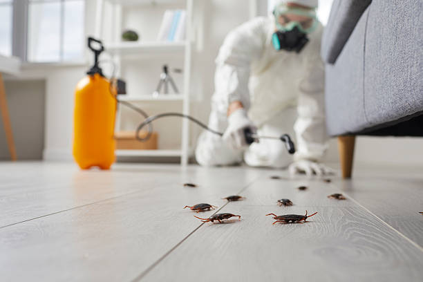 Commercial Rodent Management in Ramblewood